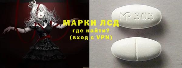 стаф Алзамай