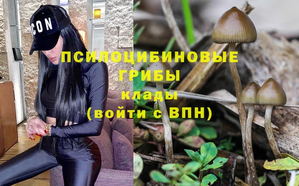 а пвп мука Алексеевка