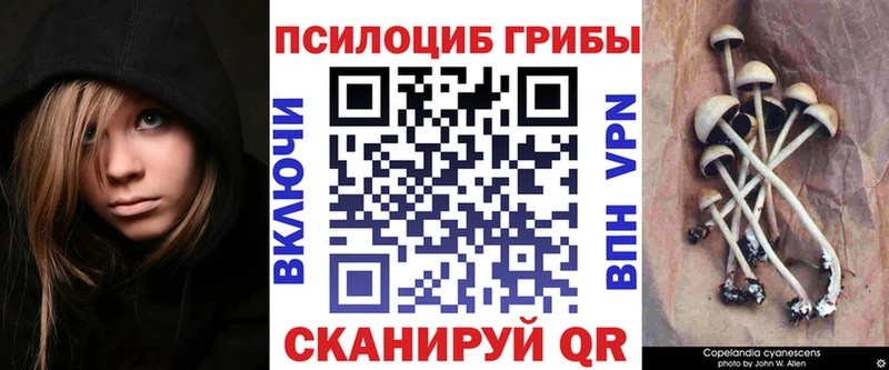 Галлюциногенные грибы GOLDEN TEACHER  Зеленогорск 