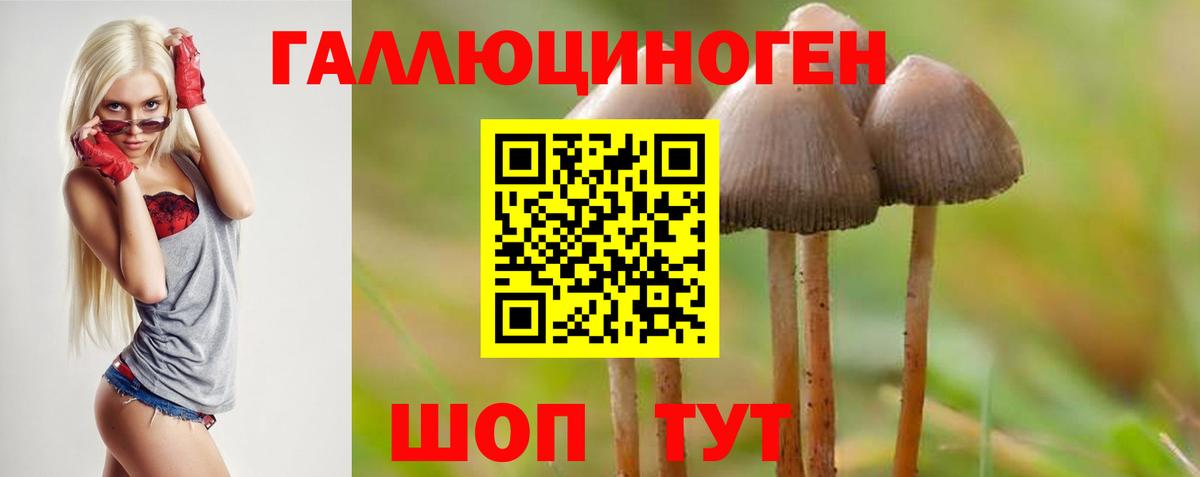 Зеленогорск  Галлюциногенные грибы Magic Shrooms  Вход с VPN 